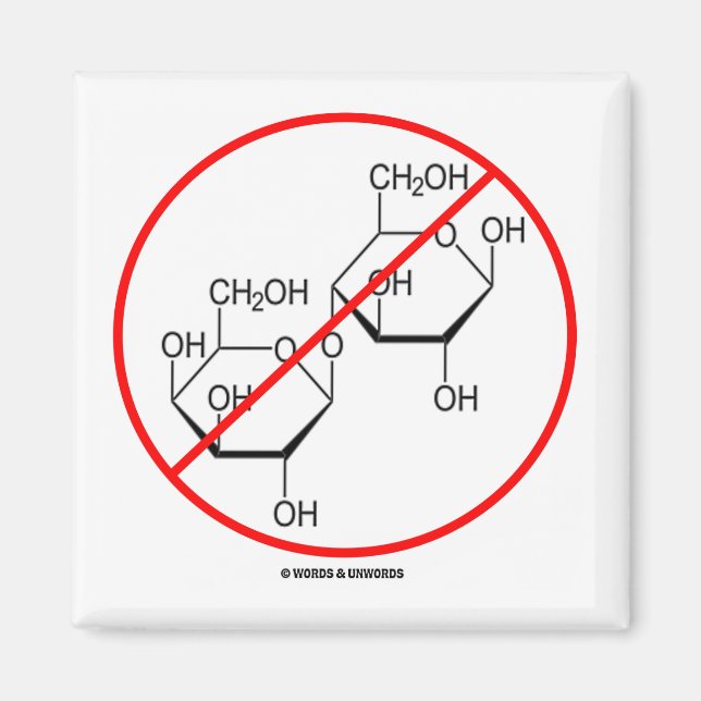 No Lactose (Lactose Intolerance) Magnet (Front)
