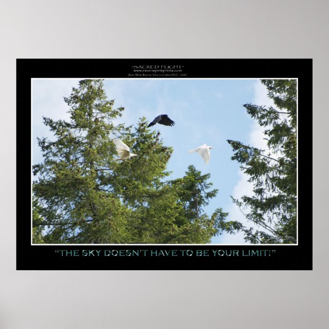 "NO LIMITS" Photo Print or Poster (Front)