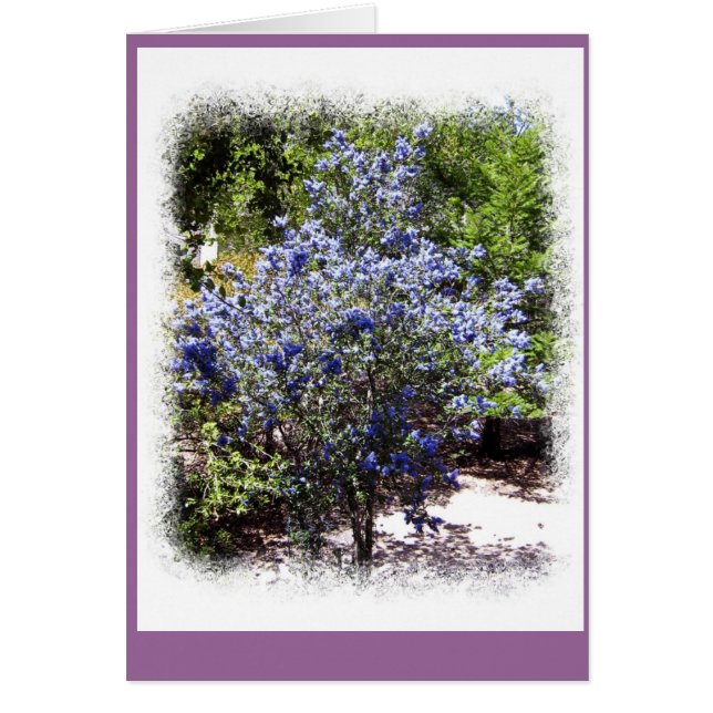 No Longer Alone (Front)