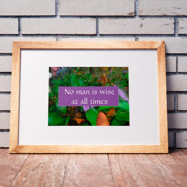 No man is wise at all times Poster (Creator Uploaded)