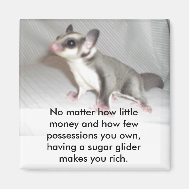 No matter how little money and how fe... magnet (Front)