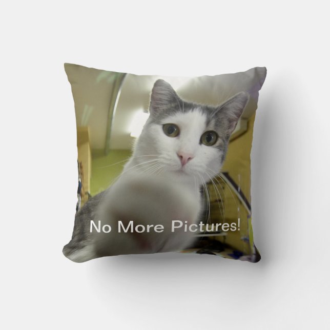 No More Pictures Cat Pillow (Front)