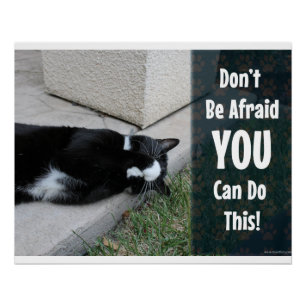No Need to Be Afraid Motivational Cat Quote Poster