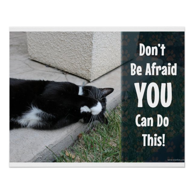 No Need to Be Afraid Motivational Cat Quote Poster (Front)