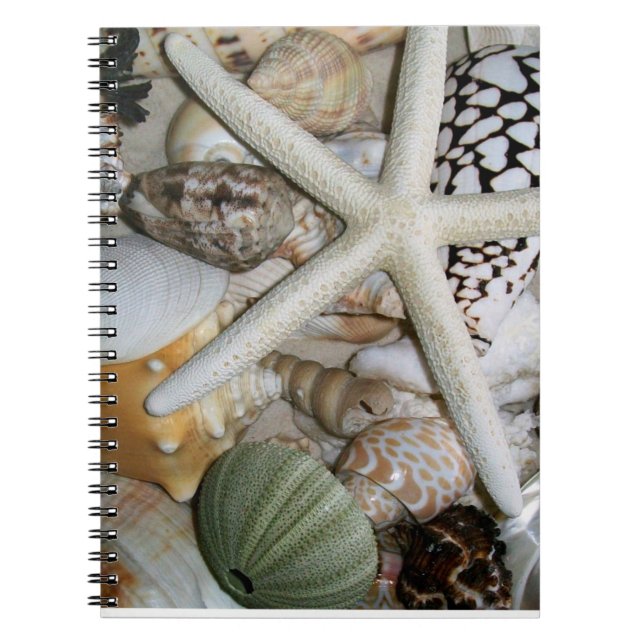 No Notebook (Front)