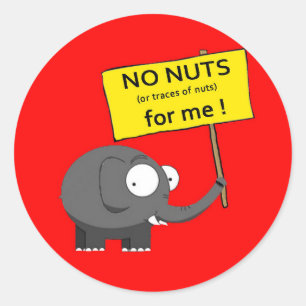 No nuts allergy sticker