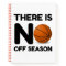 No Off Season Basketball