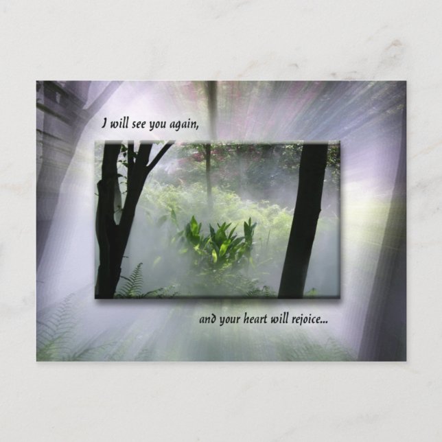 No One Will Take Your Joy Postcard (Front)