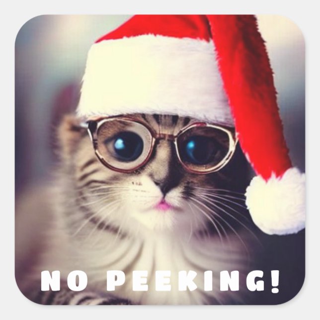 No Peeking Classic Round Sticker (Front)