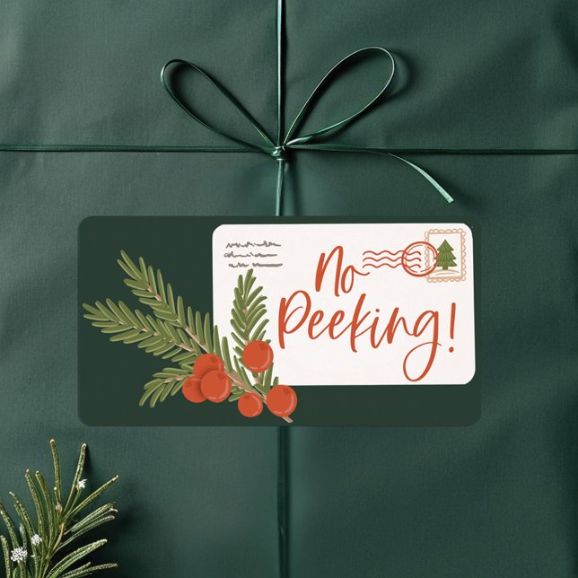 No Peeking Special Delivery Postage Envelope Label (No Peeking Special Delivery Postage Envelope Label)