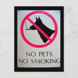 No Pets Postcards