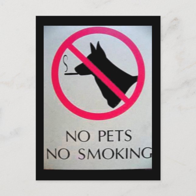 No Pets Postcards (Front)