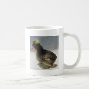 No Photographs Please Coffee Mug
