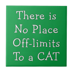 No Place Off-limits To a CAT Ceramic Tile