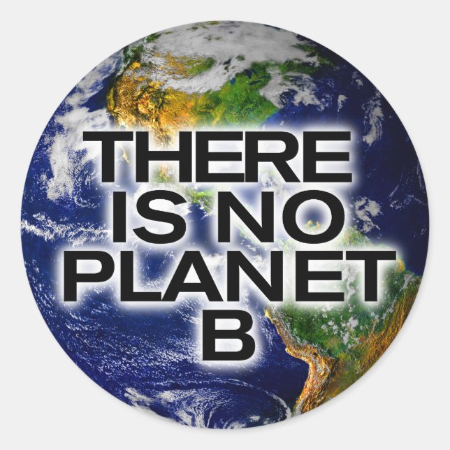 No Planet B Environmentally Aware Stickers (Front)