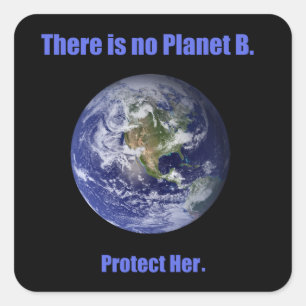 No Planet B Square Sticker