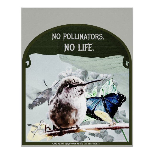 No Pollinators, No Life Poster (Front)