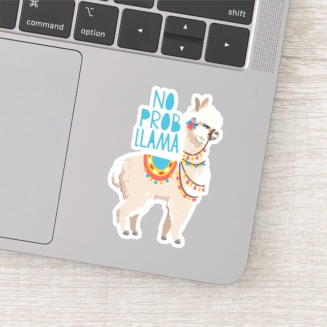 No Prob Llama (Detail)