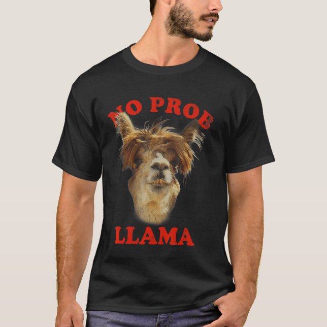 No Prob Llama Graphic T-Shirt (Front)