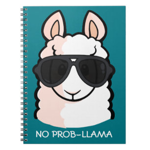 No Prob-llama Notebook