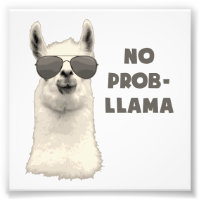 No Problem Llama