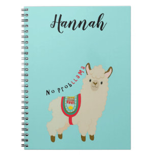 No ProbLlama Personnalised Notebook