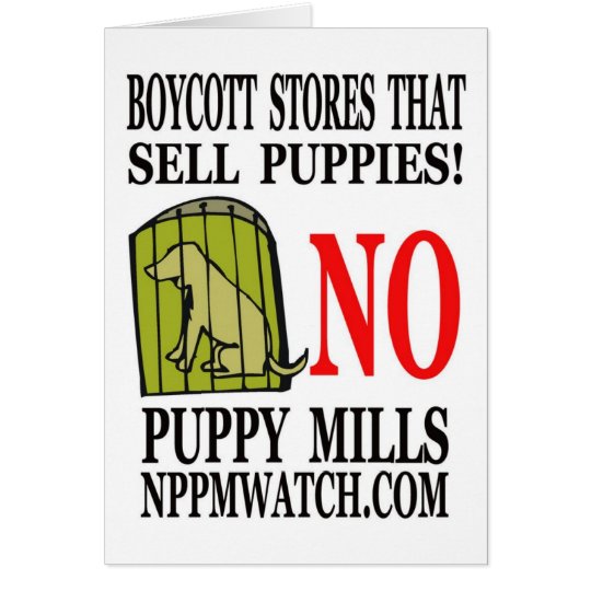 No Puppy Mills Note Cards