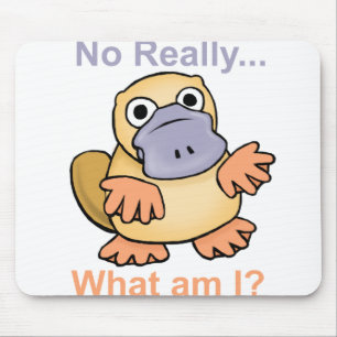 No Really... What am I? Platypus Mouse Pad