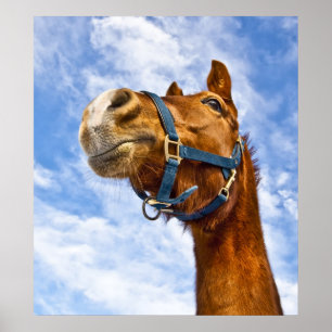 no ride today poster