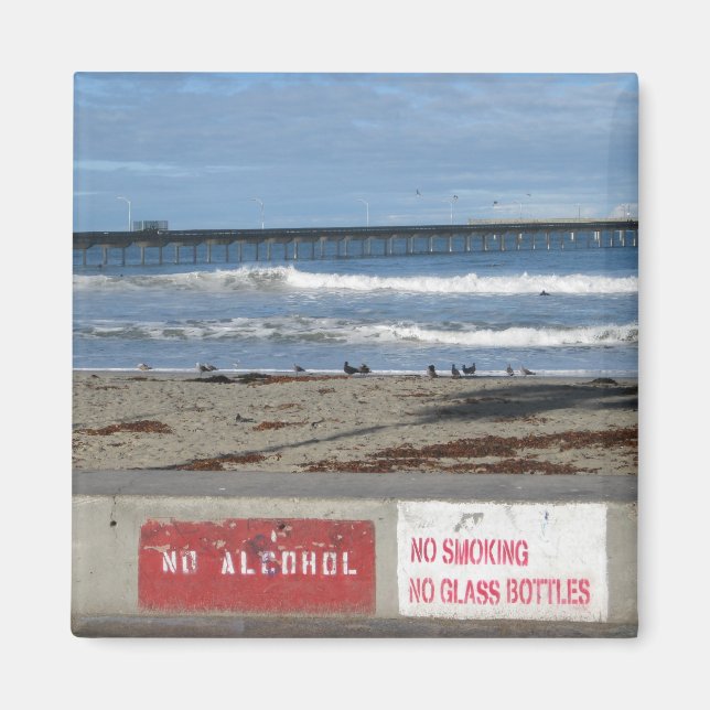 No Smoking, No Alcohol, No Glass Bottles Magnet (Front)