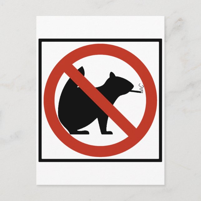 No Smoking Squirrels Allowed Highway Sign Postcard (Front)