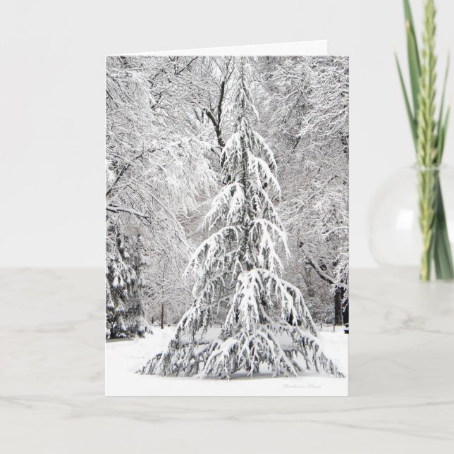 *No Snowflake Falls In the Wrong Place. Holiday Card (Front)