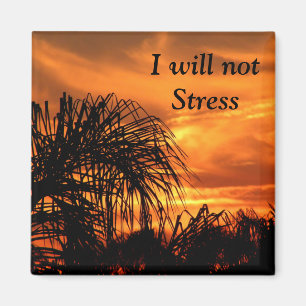 No Stress_ Magnet