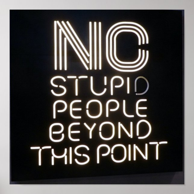 No Stupid People Beyond This Point Funny Neon Sign (Front)