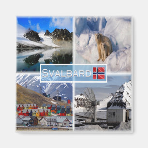 NO Svalbard - Gullybreen Magdalenefjorden - Magnet