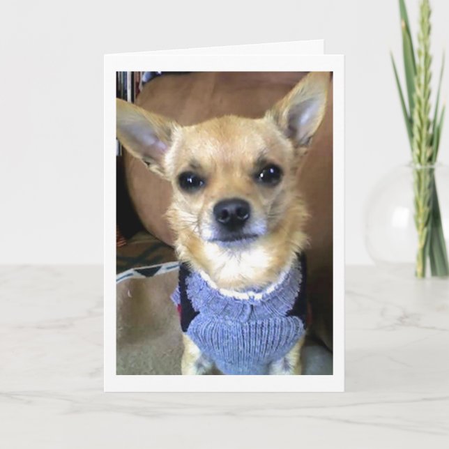 No Sweaters Holiday Card (Front)