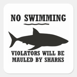No Swimming Sticker