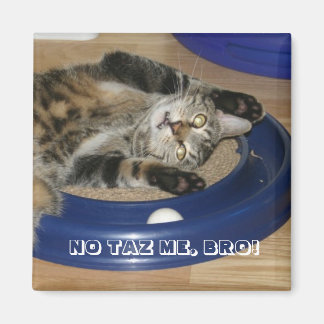 NO TAZ ME, BRO! MAGNET