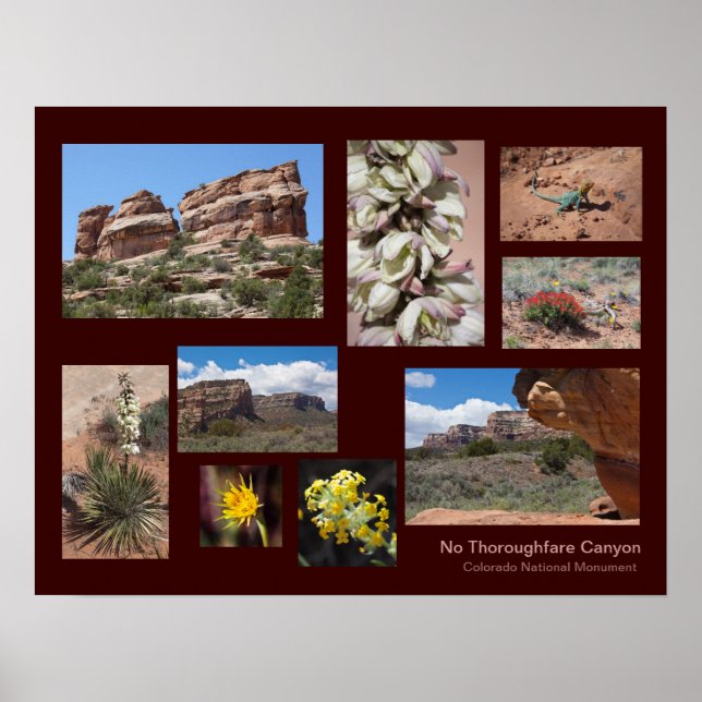 No Thoroughfare Canyon Personalised Travel  Poster (Front)