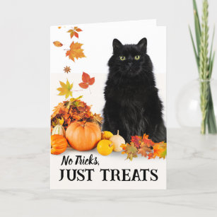 No Tricks Just Treats Halloween Black Cat Card