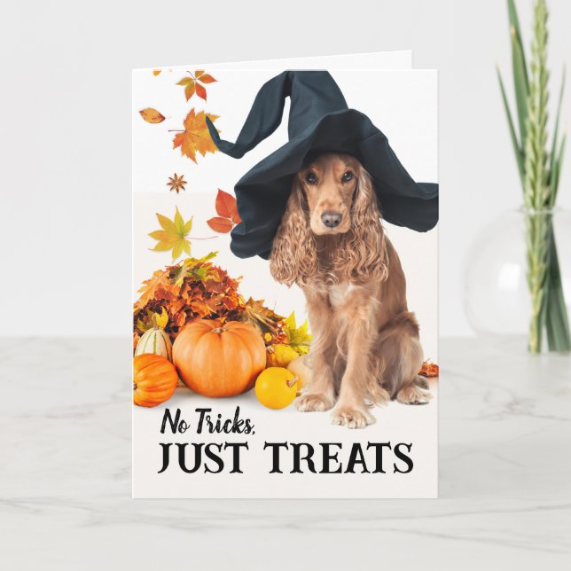 No Tricks Just Treats Halloween Cocker Spaniel  Card (Front)