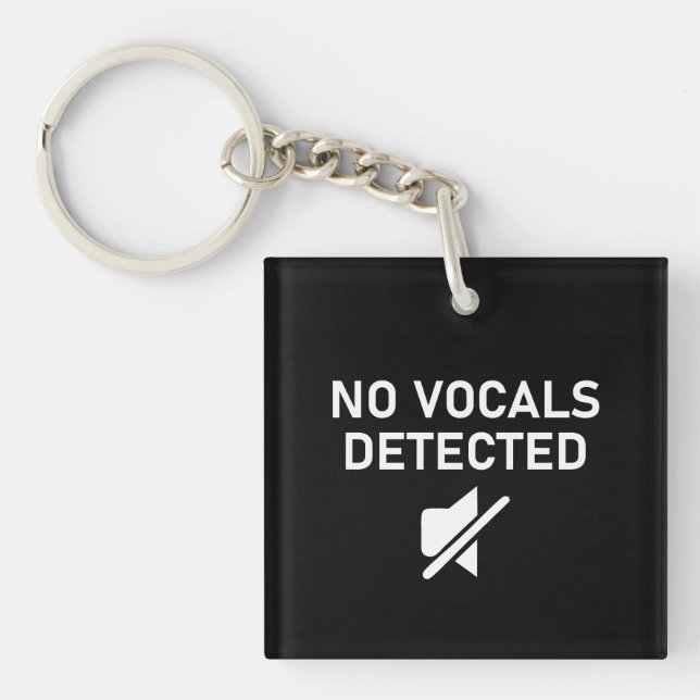 No Vocals Detected Minimal Audio Design Key Ring (Front)