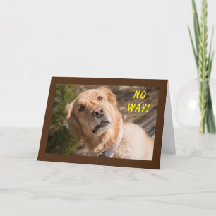 NO WAY "YOU" ARE TURNING **60** CARD