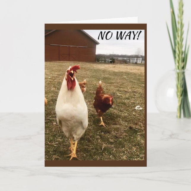 NO WAY YOU CAN'T BE "13" CARD (Front)