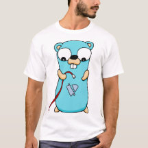 No wifi gopher