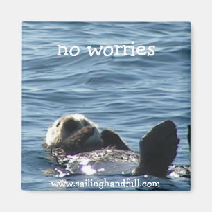 no worries sea otter magnet