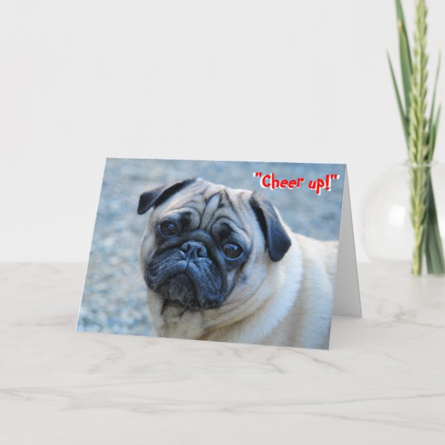 No Wrinkles Pug Birthday Card (Front)