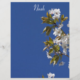 Noah Blossom Letterhead