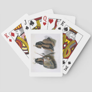 Noapeh, an Assiniboin Indian and Psihdja-Sahpa, a Playing Cards