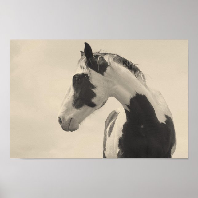 Nobel Beast Poster (Front)